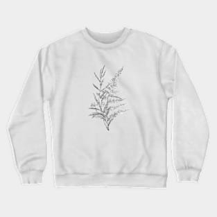 Hand-drawn leaf of fern and branch Crewneck Sweatshirt